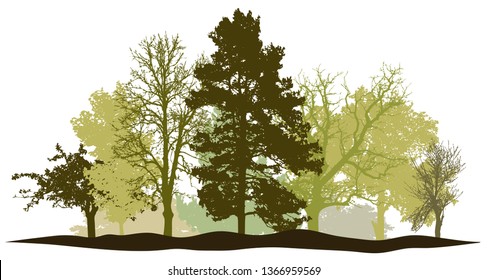 Trees forest springtime silhouette vector