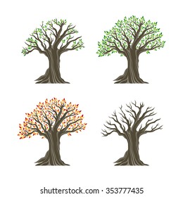 Trees in four seasons realistic decorative icons set isolated on white background. 
Design elements. Realistic image. Vector illustration.