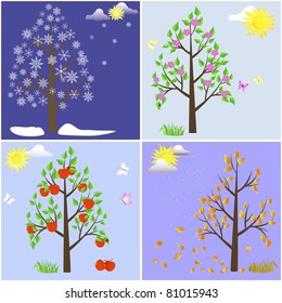 Trees in four seasons-spring; summer; autumn; winter. Vector.