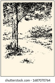 Trees in the garden. Black and white hand drawing with pen and ink. Engraving, etching, sketch style.