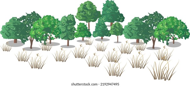trees and grass design vector for print