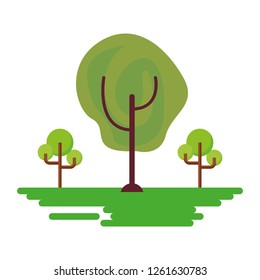trees grass natural on white background