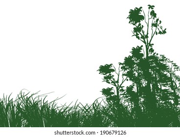 trees and grass on white background with space