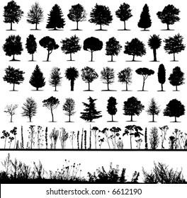 Trees, grass, plant vector