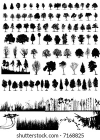 Trees, grass, plant vector