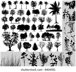 Trees, grass, plant vector on white background