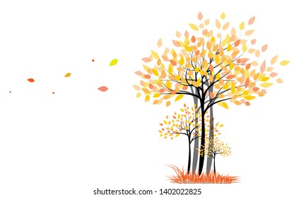 trees and grass that is dry With fallen leaves in the autumn season.