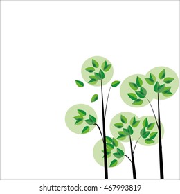The trees green The decor leaves a circle on a white background, for decoration and design cards.