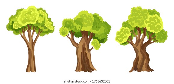 Trees with green leafage. Set of abstract stylized