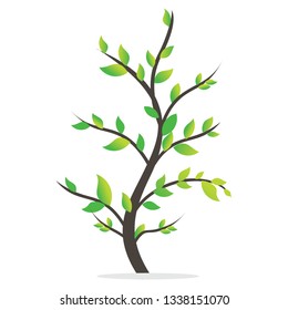 
trees with green leaves begin to grow leaves