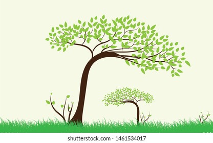 Trees with green leaves look beautiful and refreshing.