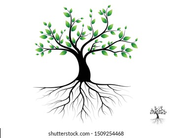 Trees with green leaves look beautiful and refreshing.Tree and roots LOGO style.