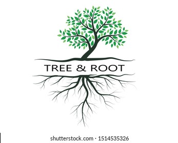 Trees with green leaves look beautiful and refreshing. Tree and roots LOGO style.