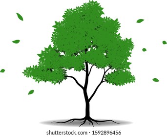 Trees with green leaves look beautiful and refreshing.Tree and roots LOGO style.