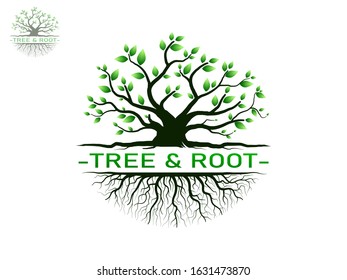 Trees with green leaves look beautiful and refreshing.Tree and roots LOGO style.Can be used for your work.