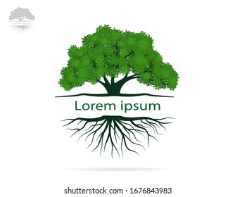 Trees with green leaves look beautiful and refreshing. Tree and roots LOGO style.