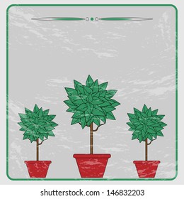 trees with green leaves in the red flower pots on a gray background.vector