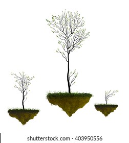 trees growing on the flying rocks, flying garden on the white background, vector