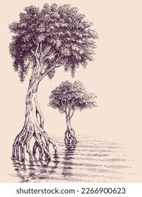 Trees growing in water and swamp tree roots hand drawing