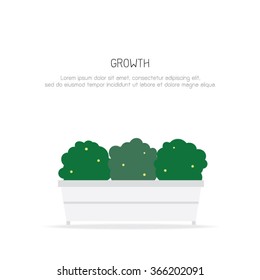 trees growth