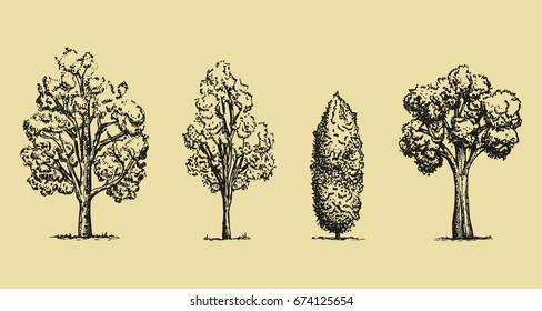 trees hand-drawing set. Vector sketches