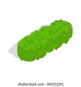 Lot of trees icon in isometric 3d style isolated on white background. Nature symbol