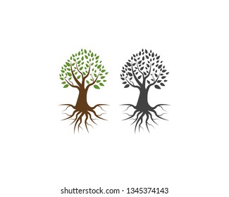 Trees icon vector illustration