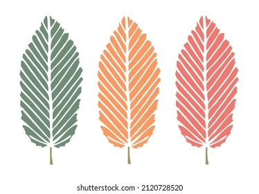 Trees, the idea of autumn trees, leaves and feathers. Beautiful abstract plant and animal form.