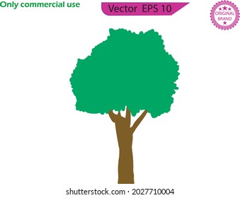 Trees illustrations. Can be used to illustrate any nature or healthy lifestyle topic. Flat trees set. Flat forest tree nature plant isolated eco foliage. Flat tree icon illustration. 