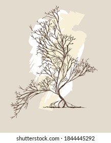 Trees intertwined in bird shape with , hand-drawn illustration in vintage style.