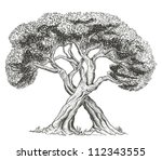 Trees intertwining with each other