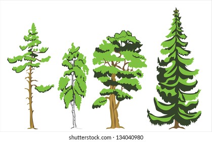 Trees isolated