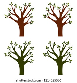 Trees isolated on white background