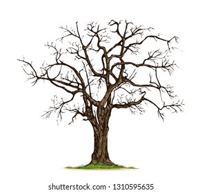 Tree Without Leaves Dry Wood Stock Vector (Royalty Free) 1047570067