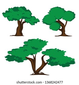 Trees Isolated on White Background