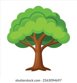 Trees isolated on white background