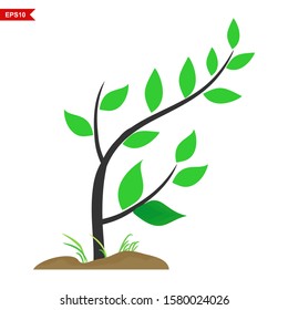 Trees with isolated roots. Green planting concept. Gardening, agriculture. vector on a white background.
