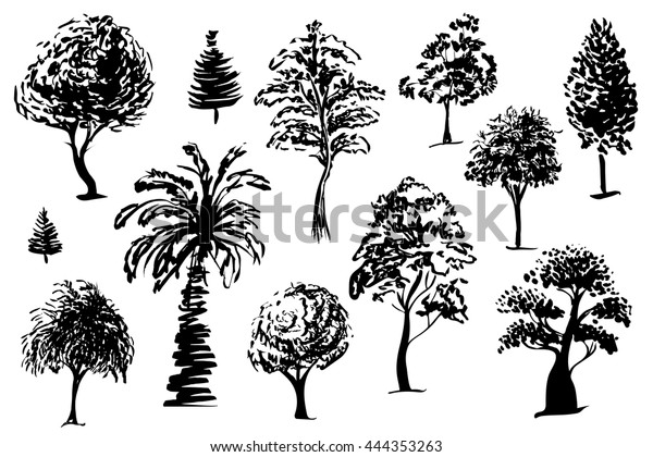 Trees Isolated Sketch Quick Drawing Trees Stock Vector (Royalty Free ...