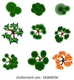 Trees item top view for landscape design / vector icon