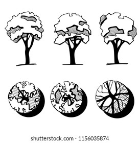 Trees for a landscape design. Different hand drawn trees isolated on white background, sketch, architectural drawing style trees set. Top and front view.