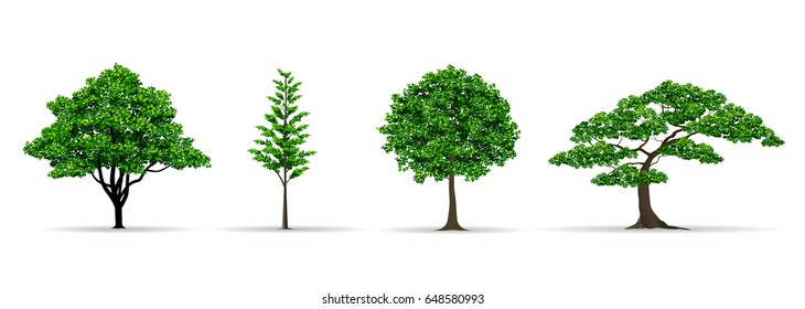 trees and leaf set realistic style vector illustration