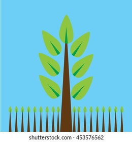 trees with leaves