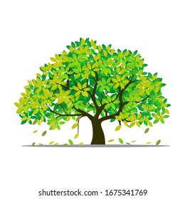 trees and leaves fall in spring, vector illustration