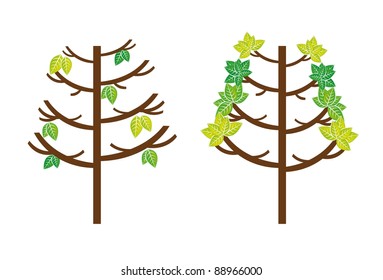 trees and leaves isolated over white background. vector