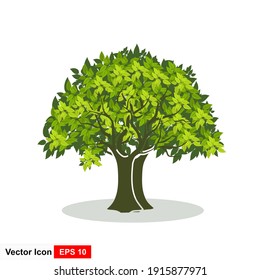 Trees and leaves on a white background, vector illustration