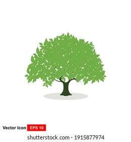 Trees and leaves on a white background, vector illustration