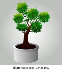 Trees with leaves on white background,Vector tree drop shadows,Plant, nature and ecology,silhouettes of leaves