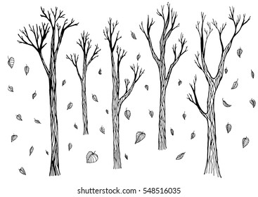 Trees and leaves. Vector illustration hand drawn outline forest set