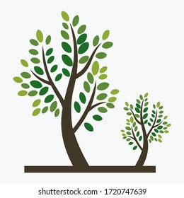 trees and leaves with a white background. Illustration
cartoon style tree.