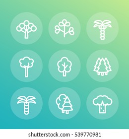 Trees line icons set, palm, fir, baobab, eucalyptus
